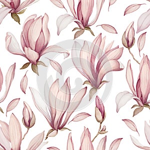 Seamless pattern with magnolias. Flowers in a watercolor style