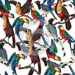 Seamless pattern with magpies, parrots and toucans. Vector.