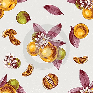 Seamless pattern with mandarin branches and slices