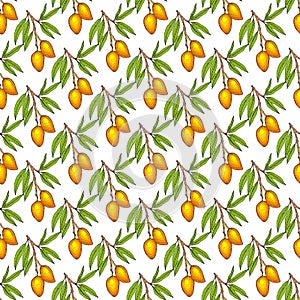 Seamless pattern with mango branch