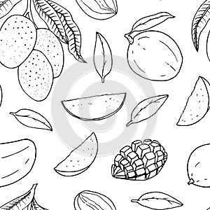 Seamless pattern with mango. Vector line drawing