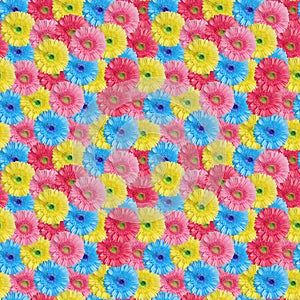Seamless pattern of many colorful gerbera flowers, bright multi-colored daisy flower repeating ornament, summer floral wallpaper