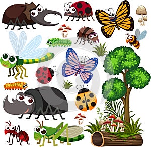 Seamless pattern with many different beetles character on white background