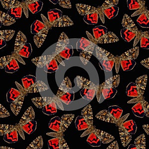Seamless pattern many red butterflies Catocala on black background, red black unusual insect texture