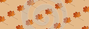 Seamless pattern maple leaf autumn banner beige