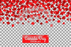 Seamless pattern with maple leafs for 1st of July celebration on transparent background. Canada Day.