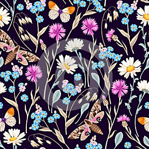 Seamless pattern with meadow flower and butterfly