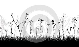 Seamless pattern of meadow with weeds and wild plants, silhouette. Vector illustration