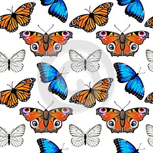 Seamless pattern with monarch butterflies and blue morpho butterflies