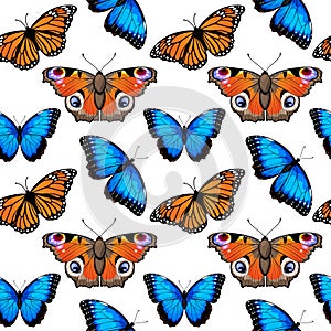 Seamless pattern with monarch butterflies and blue morpho butterflies