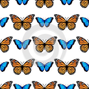 Seamless pattern with monarch butterflies and blue morpho butterflies