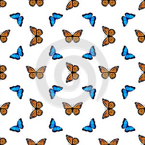 Seamless pattern with monarch butterflies and blue morpho butterflies