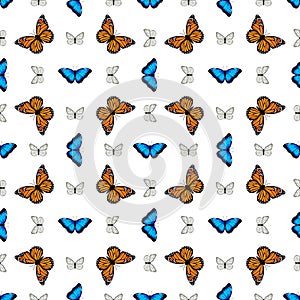 Seamless pattern with monarch butterflies and blue morpho butterflies