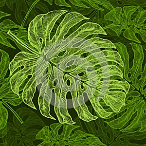 Seamless pattern monstera leaves. Vector illustration