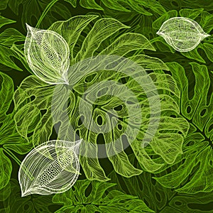 Seamless pattern monstera leaves. Vector illustration