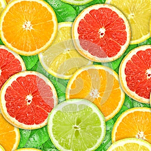 Seamless pattern with motley citrus-fruit slices