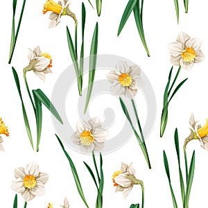 Seamless pattern with narcissus flowers. Spring fabric design. Floral print for Easter with daffodils. Suitable for