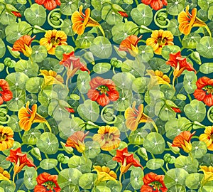 Seamless pattern with nasturtium flowers and leaves painted with watercolor
