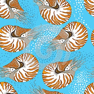 Seamless pattern with Nautilus Pompilius or chambered nautilus on the blue background with bubbles. photo