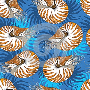 Seamless pattern with Nautilus Pompilius or chambered nautilus on the blue background with stripes. photo