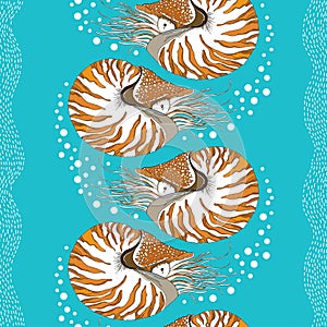 Seamless pattern with Nautilus Pompilius or chambered nautilus on the turquoise background with bubbles and stripes. photo