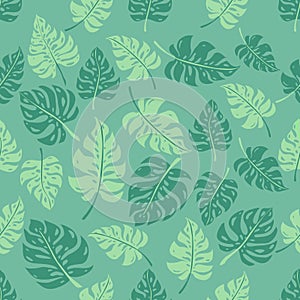 Seamless pattern of neo mint leaves monstera. Tropical leaves of palm tree. Vector background. Beautiful allover print with hand