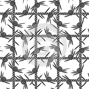 Seamless pattern, net of the cord with juniper. Black and white vector background. photo