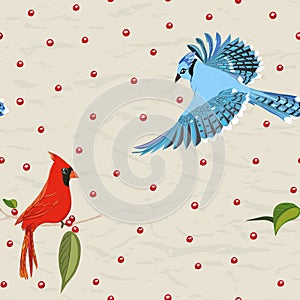 Seamless pattern from new collection with birds. Red cardinal and blue jay.