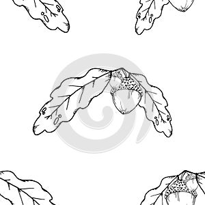 Seamless pattern of oak leaves and acorns. Vector of a seamless pattern of an oak branch with an acorn. Hand drawn oak leaves with
