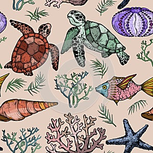 Seamless pattern with Ocean life organisms, shells, fish, corals, and turtle.