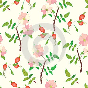 Seamless pattern with officinal brier