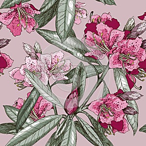 Seamless pattern with Oleander flower