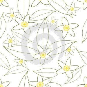 Seamless pattern of orange blossom flowers outlines