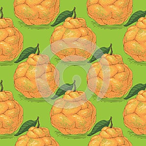 Seamless Pattern with Orange Tangelo