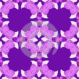 Seamless pattern Orchidea violet dendrobium. vector illustration