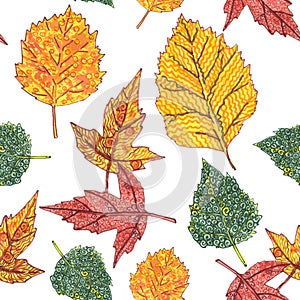 Seamless pattern of ornamental autumn leaves on a white background, graphic color pattern