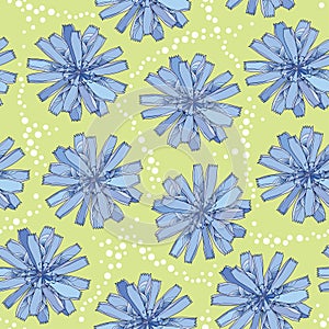 Seamless pattern with ornate chicory flower in blue on the green background with dots. Floral background in contour style
