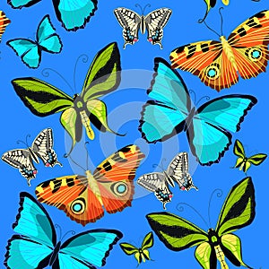 Seamless pattern Ornithoptera paradisea, butterfly wings of a bi