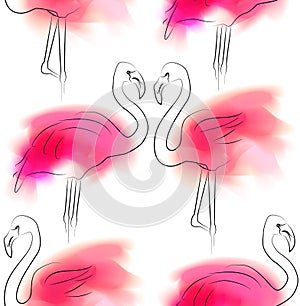 Seamless pattern with outline illustration of pair flamingo with pink color stains on white background. Love in relationship.