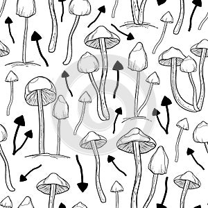 Seamless pattern with outline Psilocybe mushroom (Liberty Cap) in black on the white background.