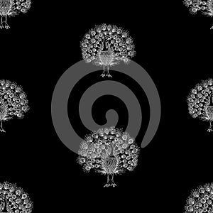 Seamless pattern of outlines decorative peacocks