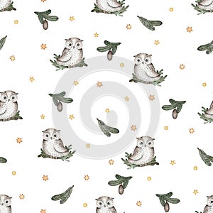 Seamless pattern with owls, fir branches and stars on a white background. watercolor illustration.