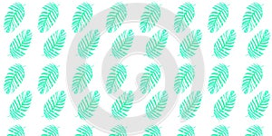 Seamless pattern with palm leaves background vector. Floral pattern, Tropical plants, V