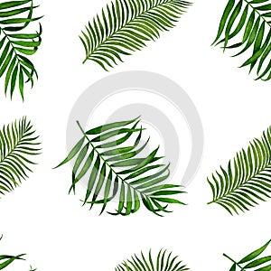 Seamless pattern with palm leaves. Tropical leaves watercolor. Watercolor illustration of hand painting.