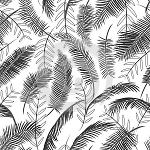 Seamless pattern with palm leaves. Tropical texture, black palm branches on white background. Linear outline, flat design. Vector