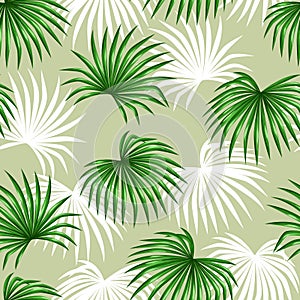 Seamless pattern with palms leaves. Decorative image tropical leaf of palm tree Livistona Rotundifolia. Background made