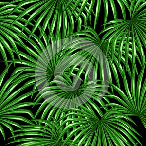 Seamless pattern with palms leaves. Decorative image tropical leaf of palm tree Livistona Rotundifolia. Background made