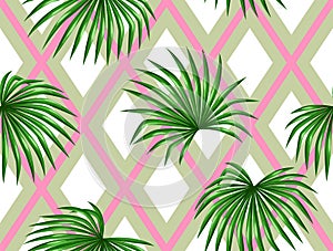 Seamless pattern with palms leaves. Decorative image tropical leaf of palm tree Livistona Rotundifolia