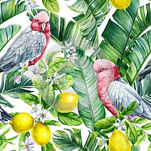 Seamless pattern, Parrot birds. lemon fruit, leaves and flowers. tropical background, watercolor jungle wallpaper