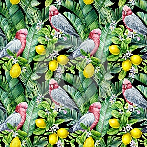 Seamless pattern, Parrot birds. lemon fruit, leaves and flowers. tropical background, watercolor jungle wallpaper